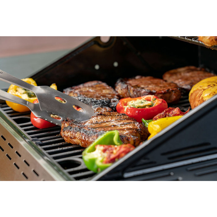 Megamaster 2 Burner Free Standing Liquid Propane 28000 BTU Gas Grill